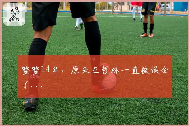 整整14年，原来王哲林一直被误会了...