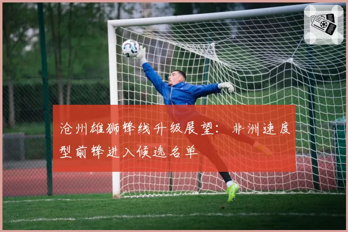 沧州雄狮锋线升级展望:非洲速度型前锋进入候选名单