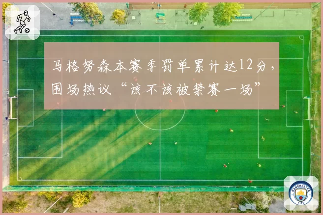 马格努森本赛季罚单累计达12分，围场热议“该不该被禁赛一场”