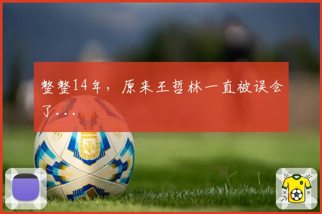整整14年，原来王哲林一直被误会了...