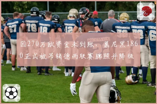 因270万欧资金未到账,慕尼黑1860正式被吊销德丙联赛牌照并降级